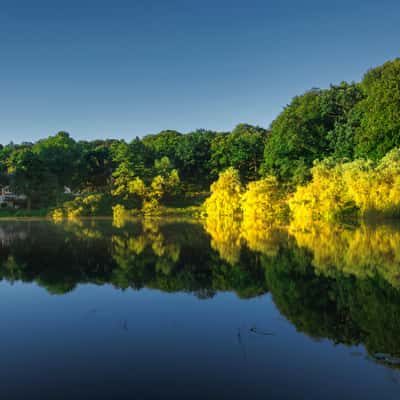 Mühlenteich, Reinbek, Germany