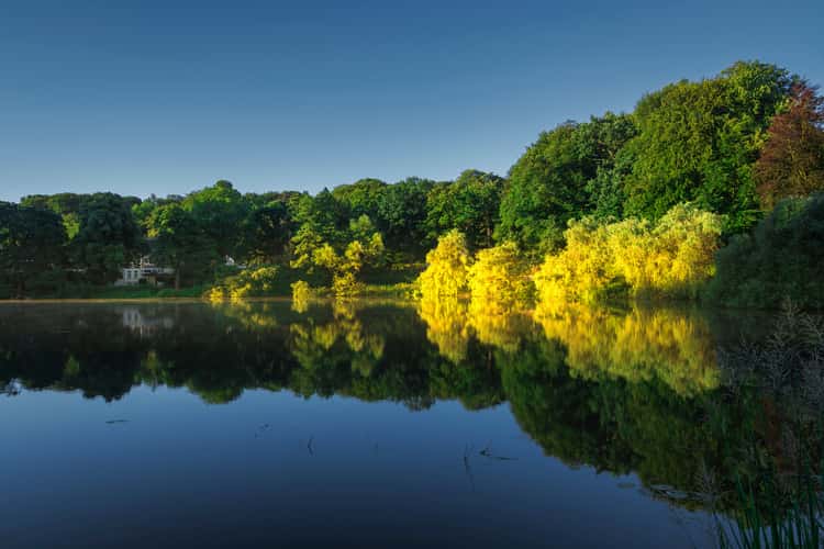 Mühlenteich, Reinbek
