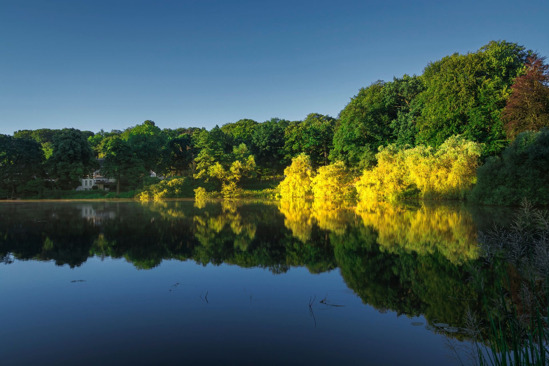 Mühlenteich, Reinbek, Germany