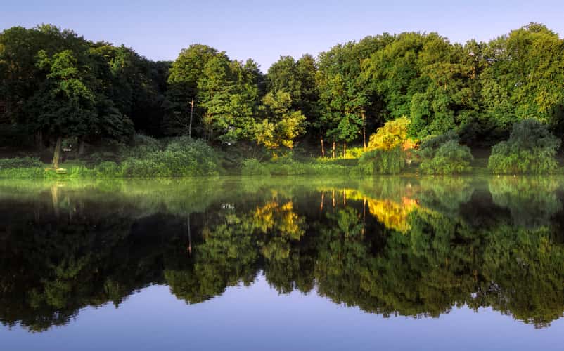 Mühlenteich, Reinbek