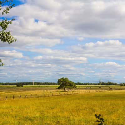 Open Range near Taaken, Germany