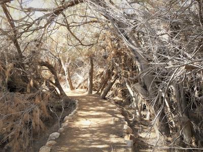 Path to the Jordan River