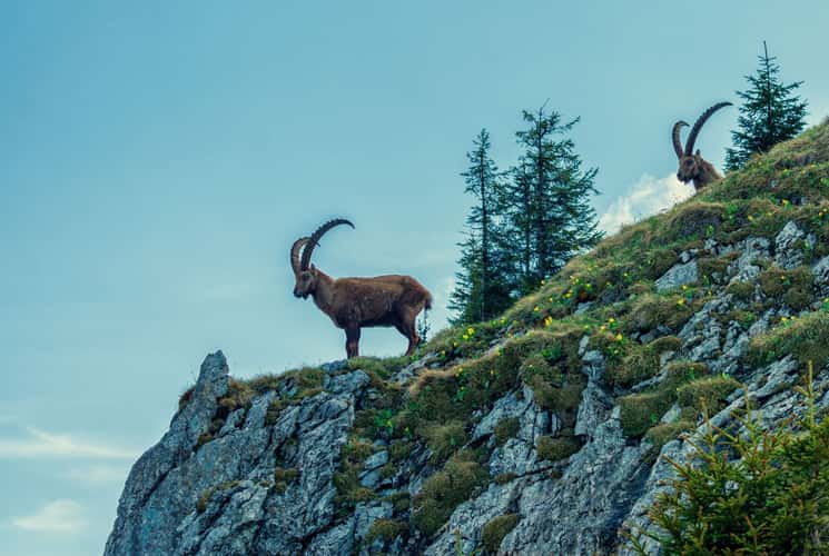 Pilatus, Lucerne