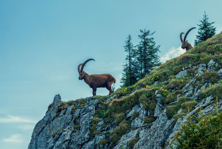 Pilatus, Lucerne