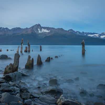 Resurrection Bay - Seward, USA