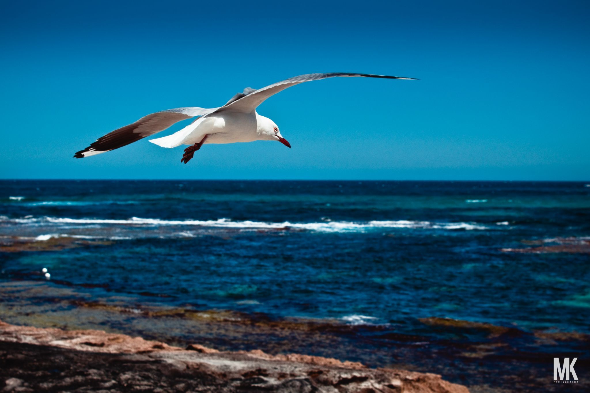 Rottnest Island, Australia