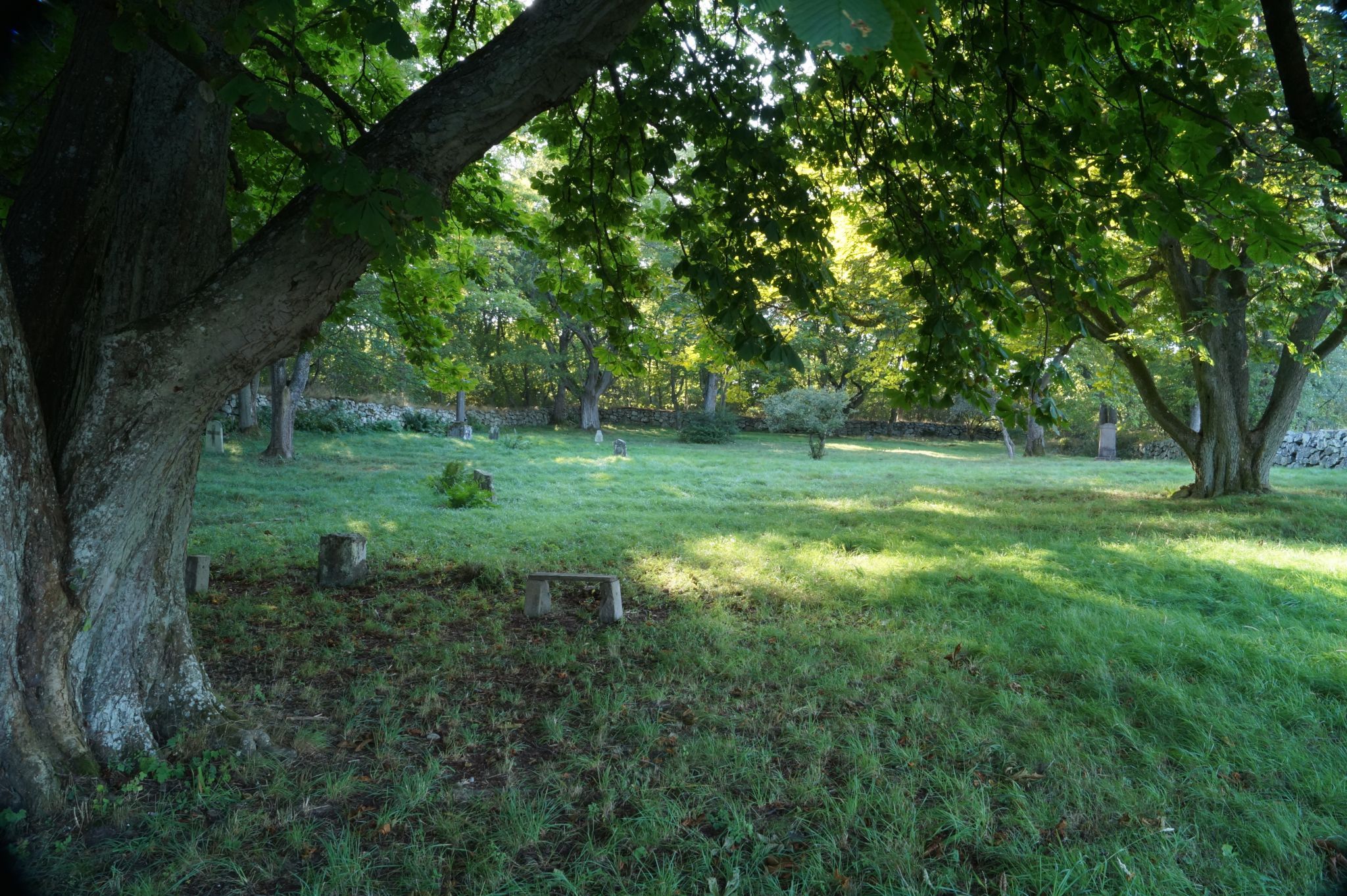 Salto pestcemetery, Sweden