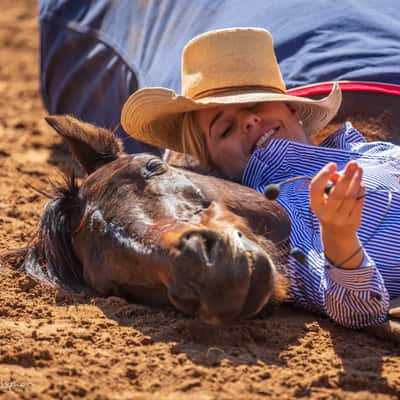 Snoring horse Katherine Outback Experience NT, Australia