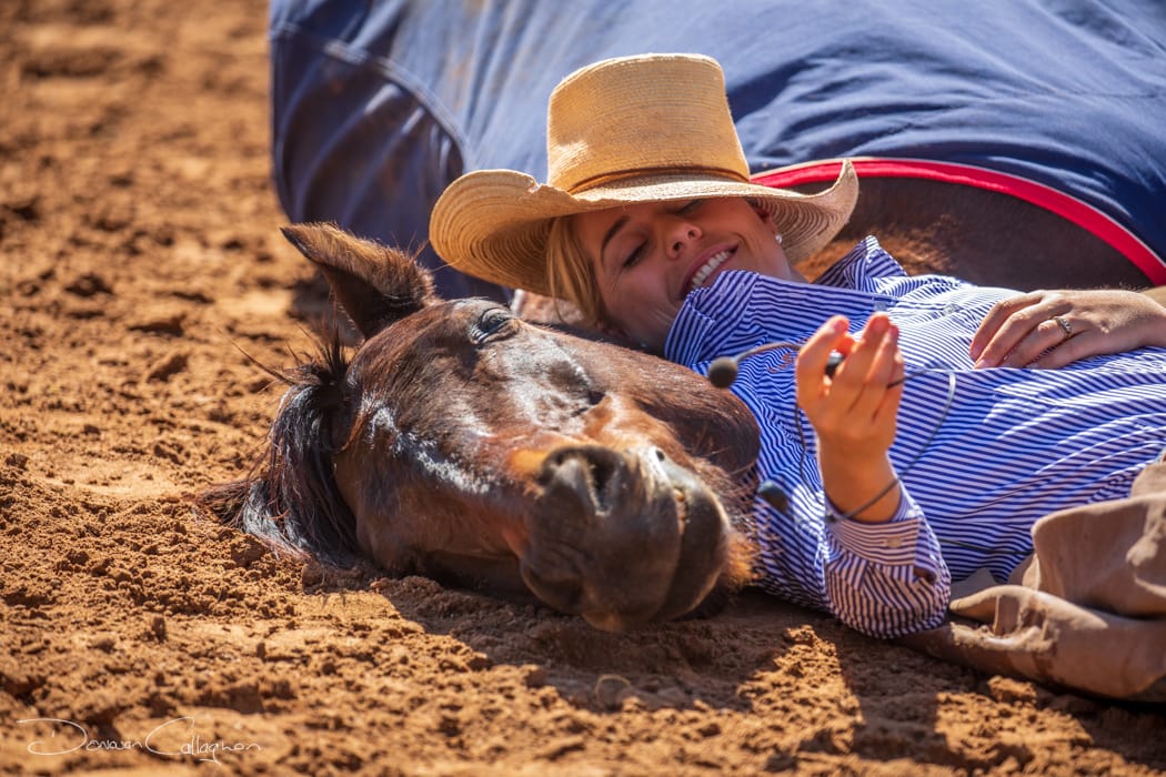 Snoring horse Katherine Outback Experience NT, Australia