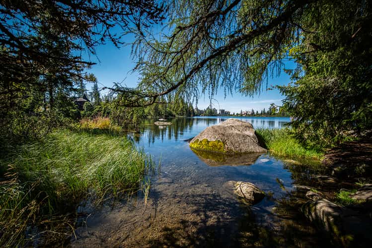 Strba tarn