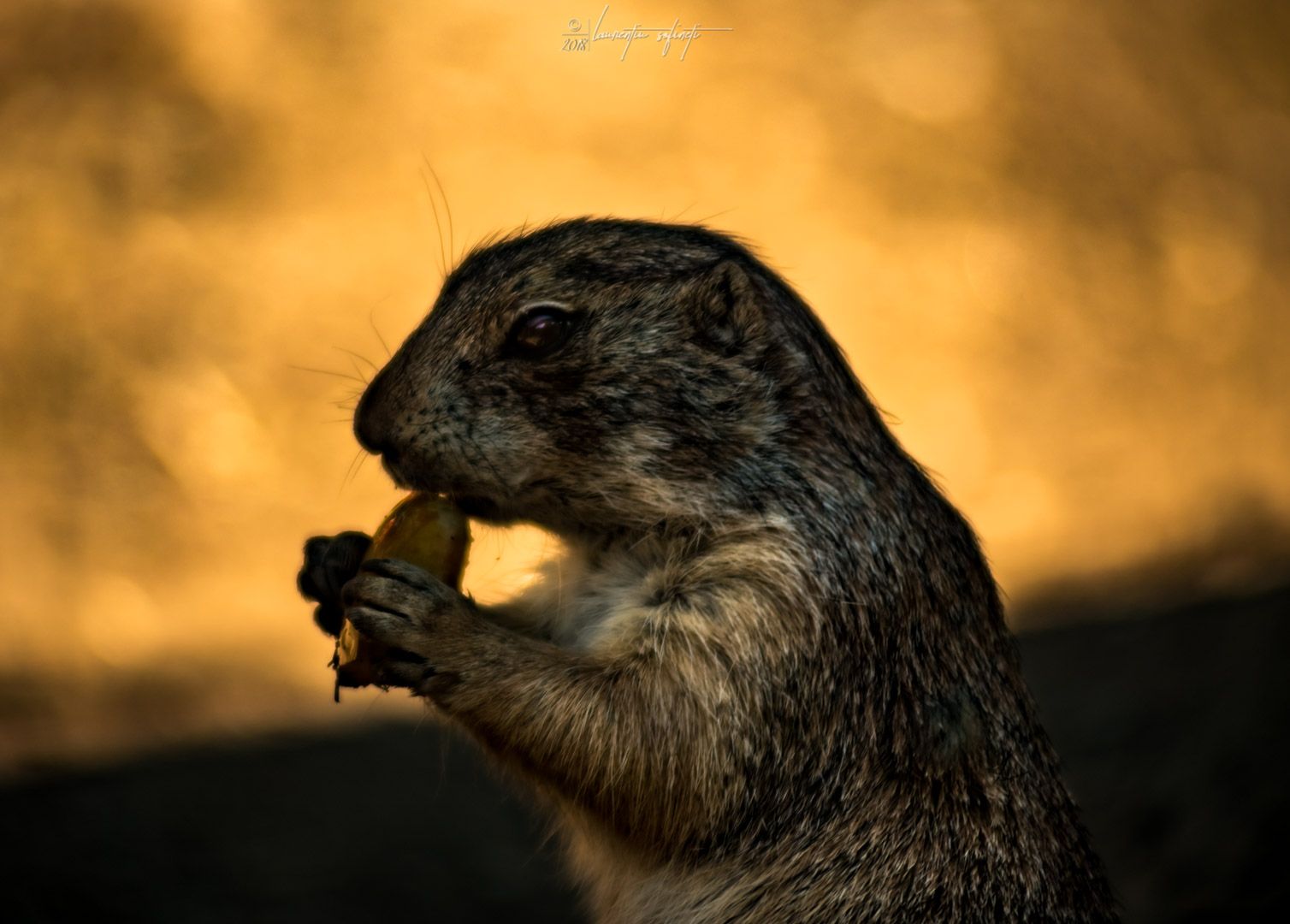 Tierpark Bochum, Germany