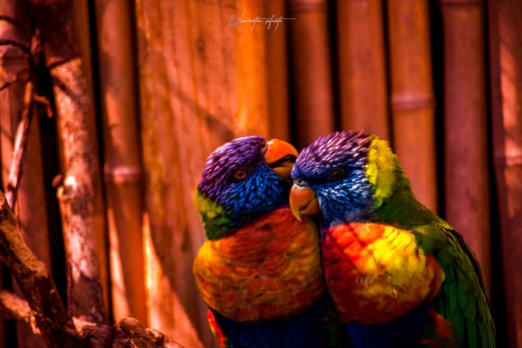 Tierpark Bochum