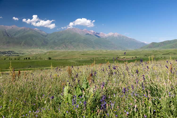 Tschong-Kemin-Tal