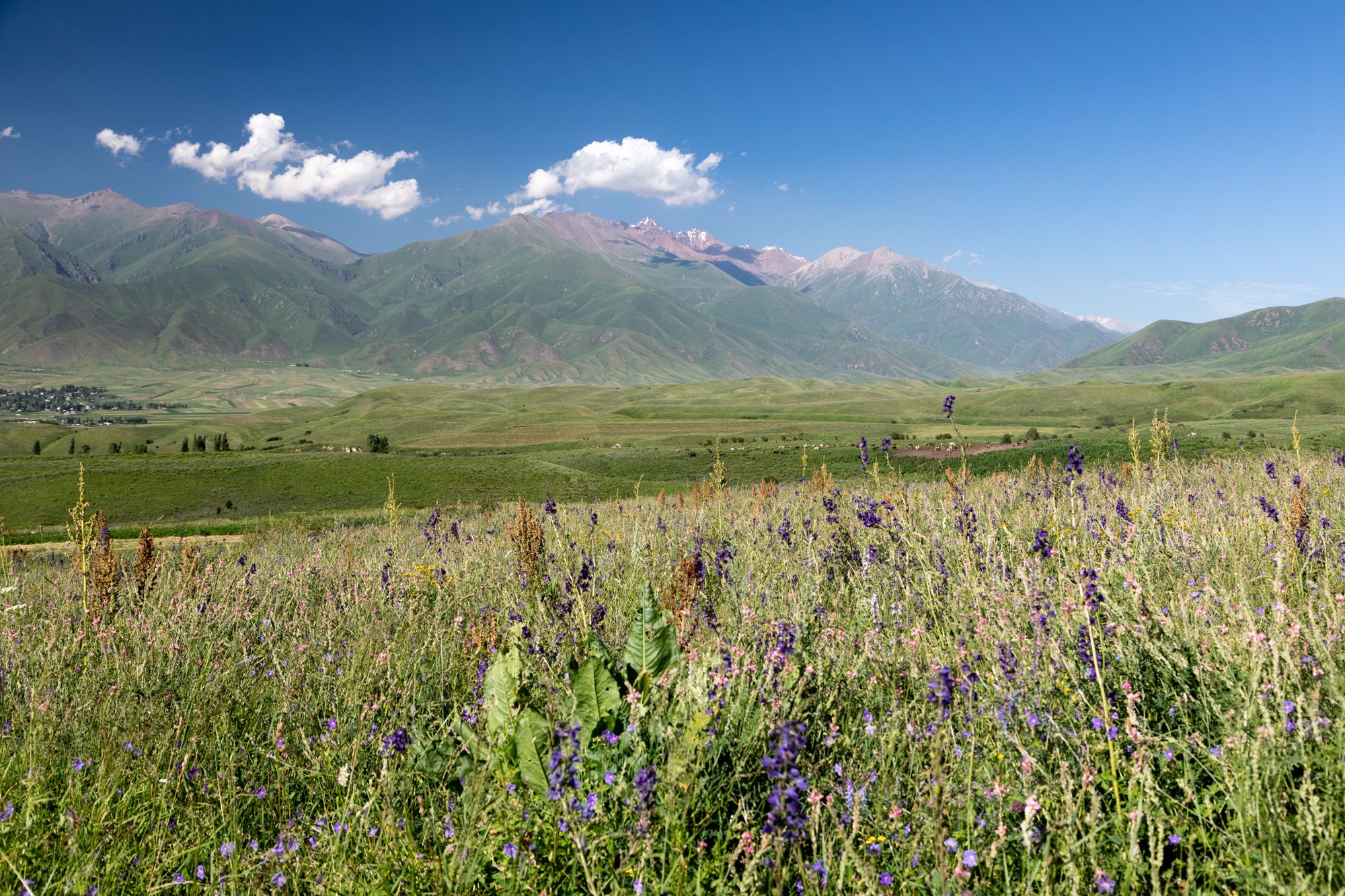 Tschong-Kemin-Tal, Kyrgyz Republic
