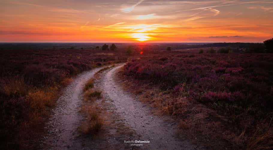 Turning Purple