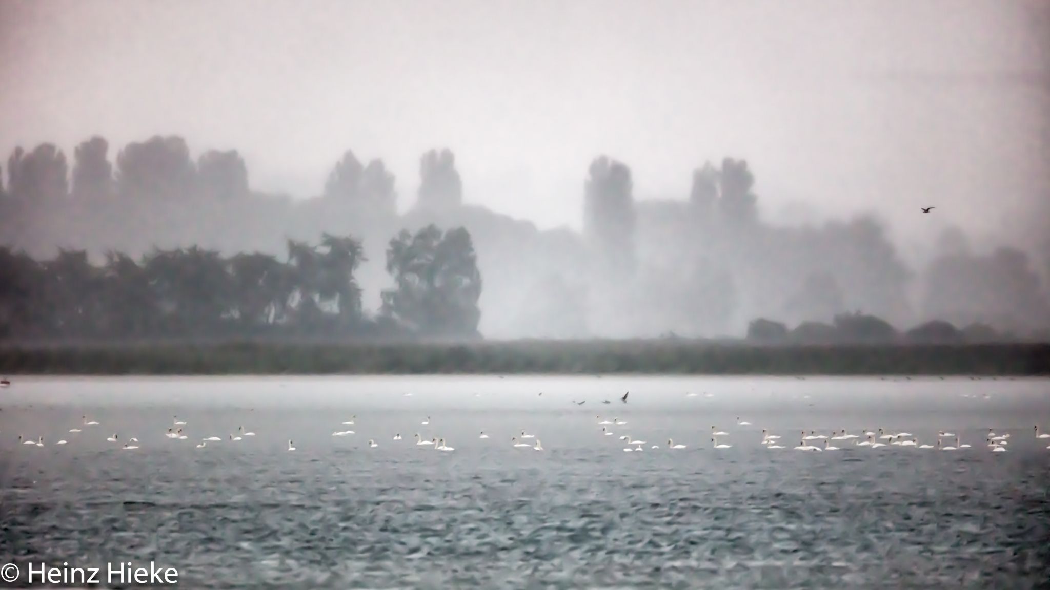 Untersee, Switzerland