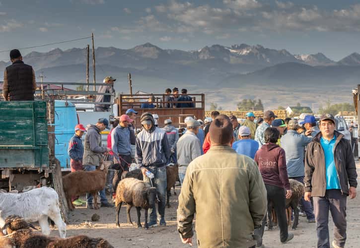 Viehmarkt in Karakol