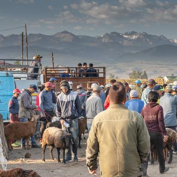 Viehmarkt in Karakol, Kyrgyz Republic