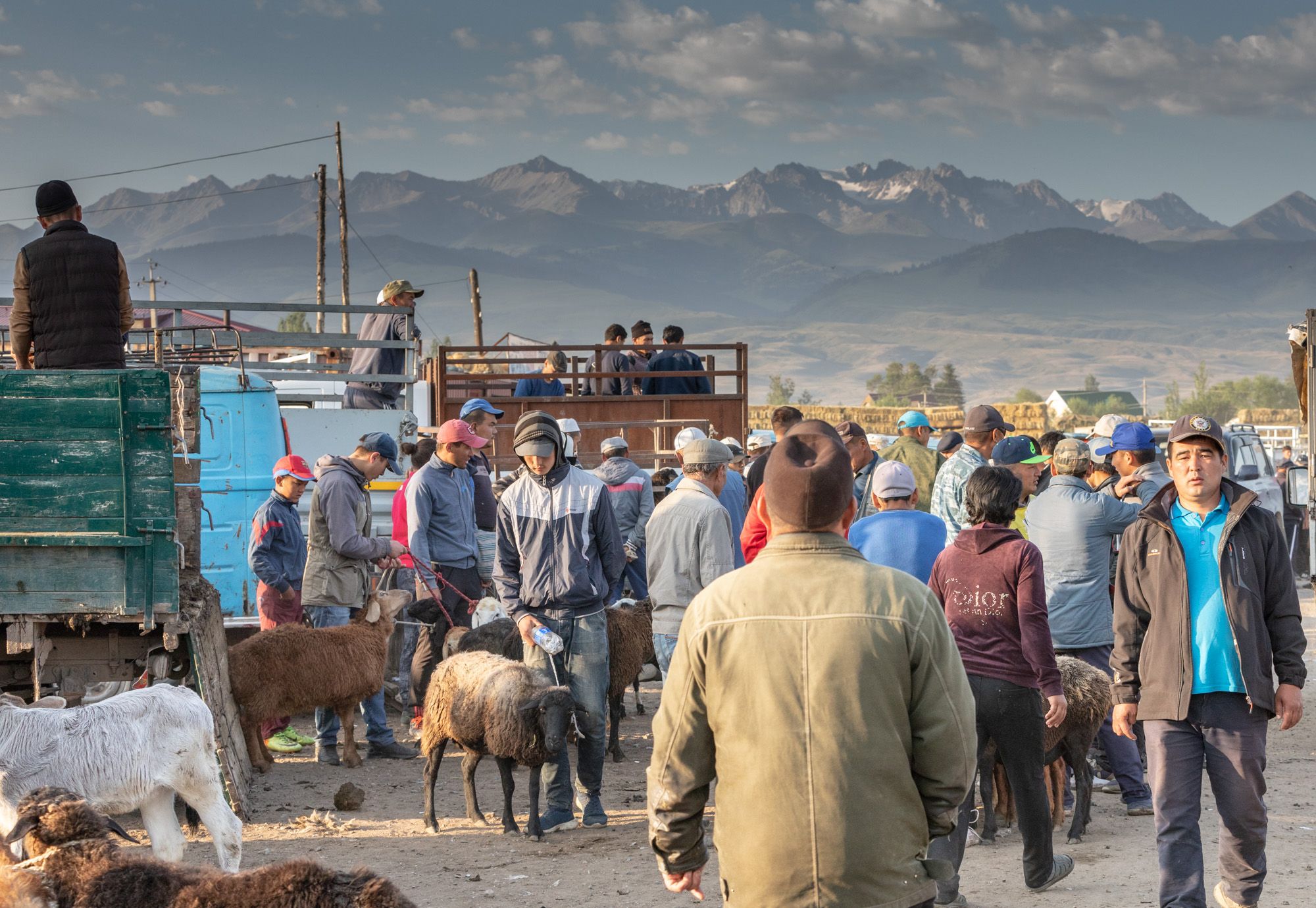 Viehmarkt in Karakol, Kyrgyz Republic