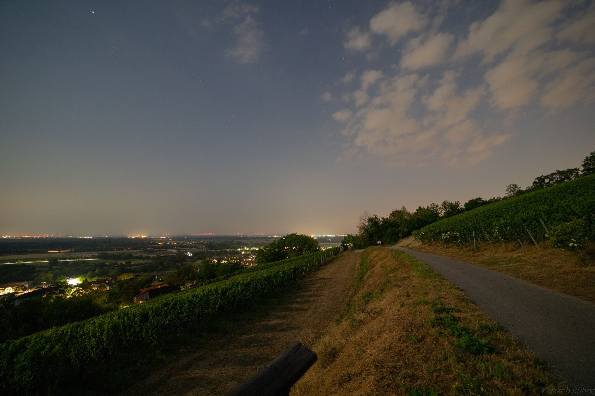 Vineyard Simon Bürkle, Germany