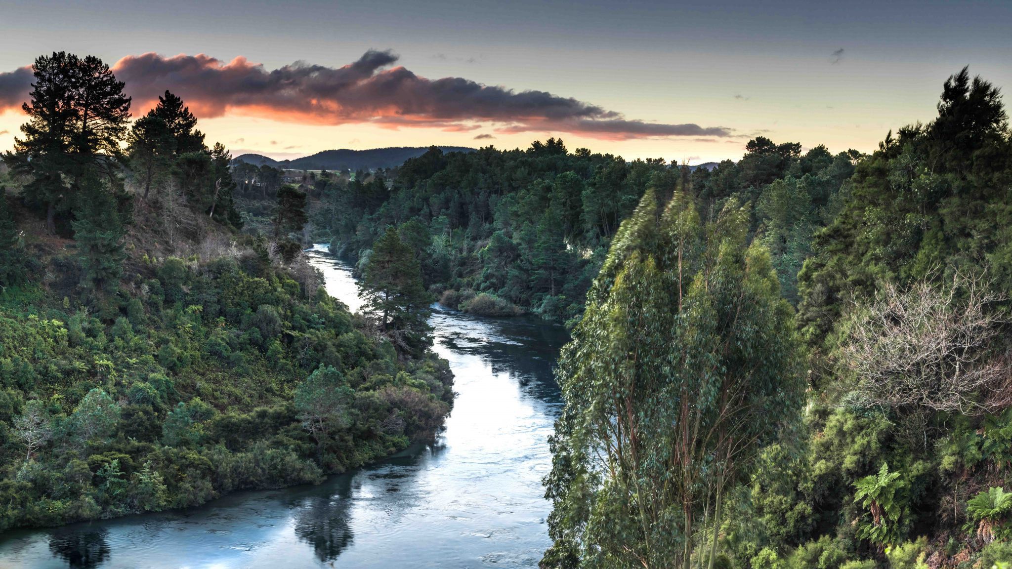 Waikato River Bend, New Zealand
