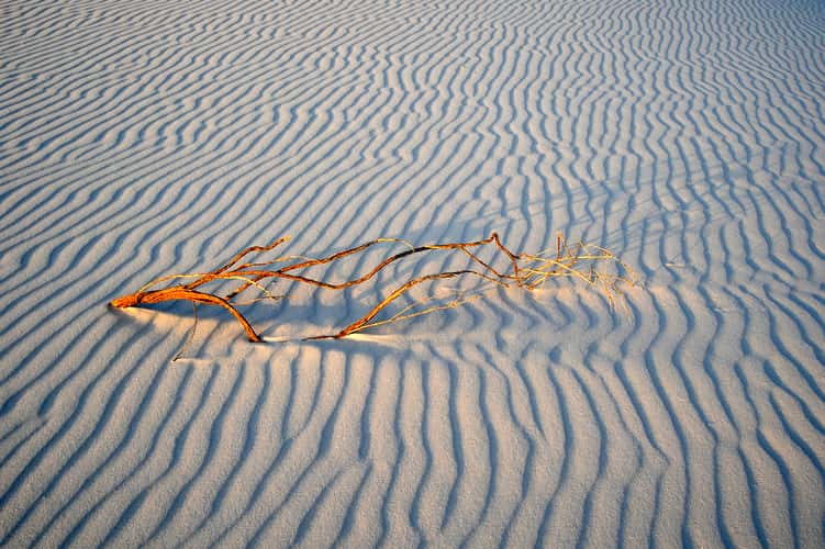 White Sands