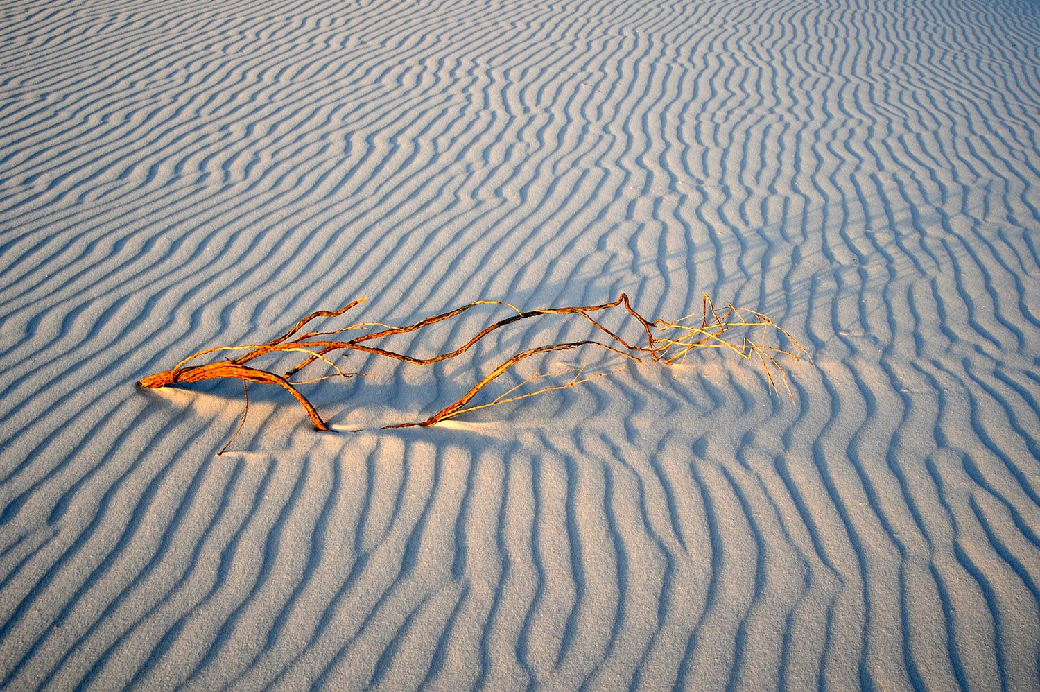 White Sands, USA