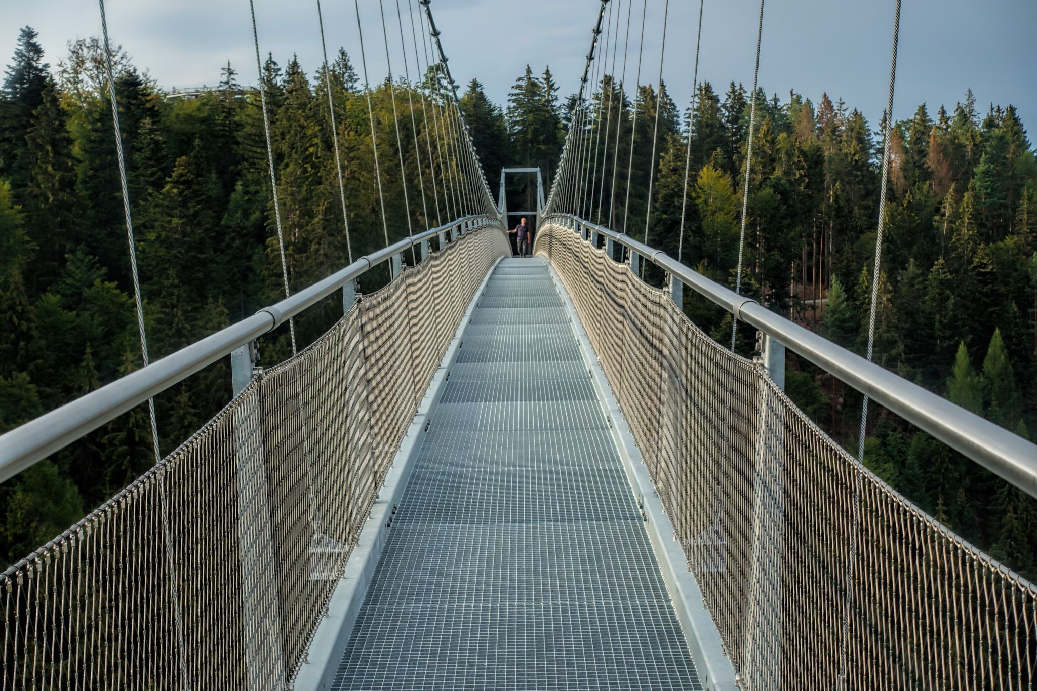 Wildline Bridge, Germany