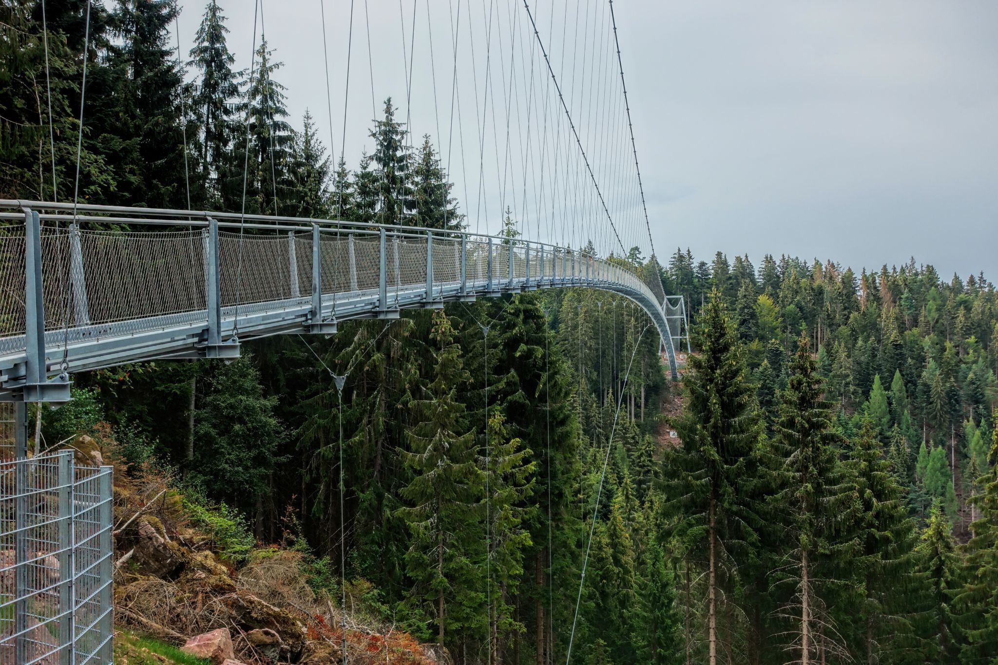 Wildline Bridge, Germany