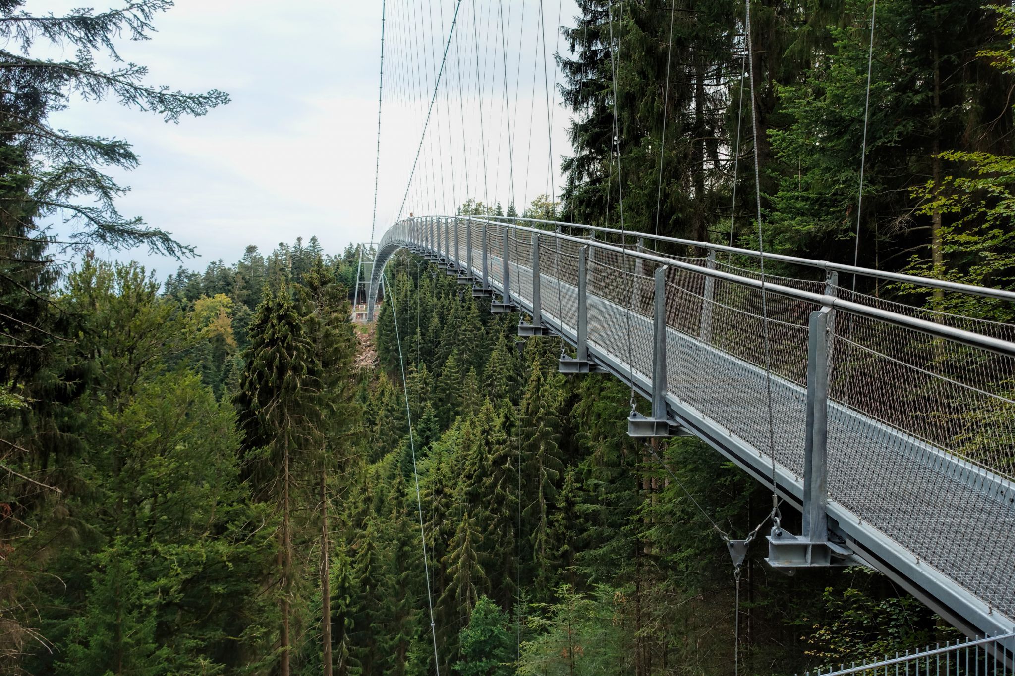 Wildline Bridge, Germany