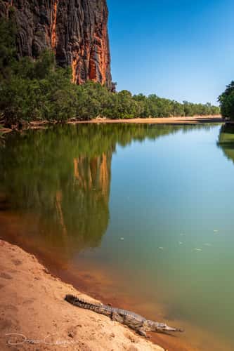 Windjana Gorge, Kimberley, Western Australia