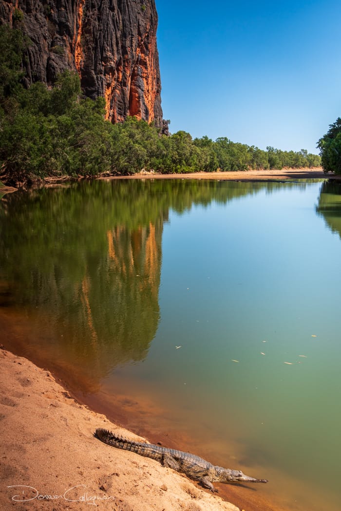 Windjana Gorge, Kimberley, Western Australia, Australia