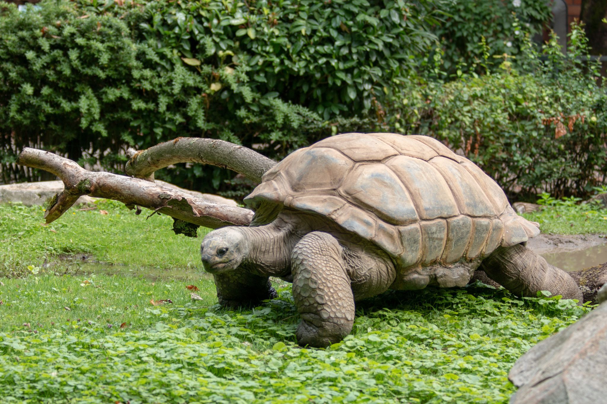 Zoo Krefeld, Germany