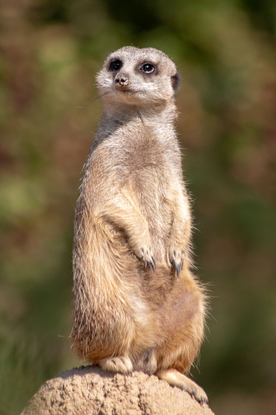 Zoo Krefeld, Germany