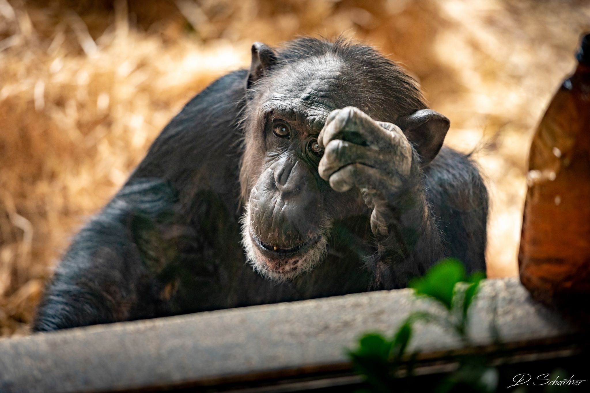 Zoo Neuwied, Germany