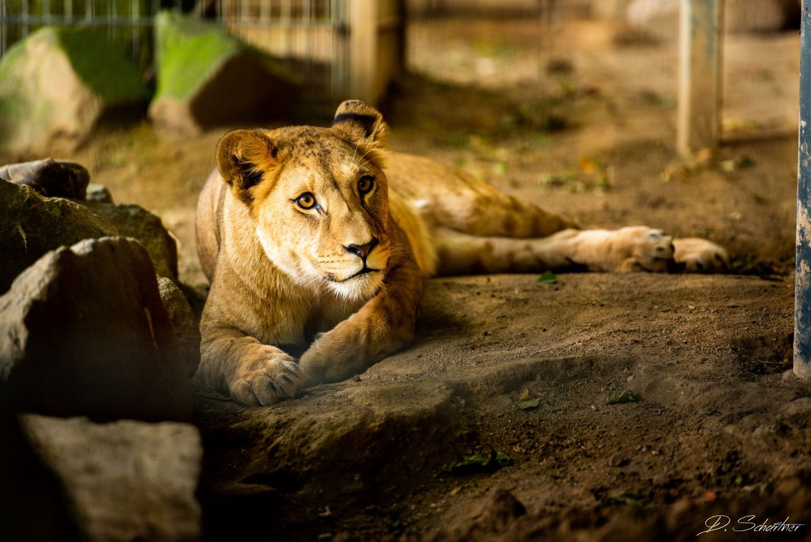 Zoo Neuwied, Germany