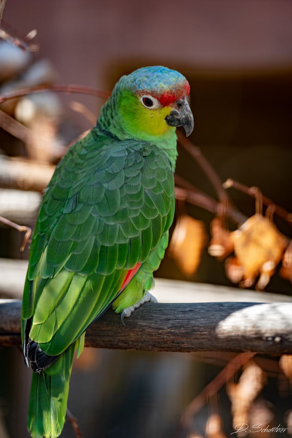 Zoo Neuwied, Germany