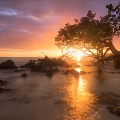 Anse Figuier, Martinique, Martinique