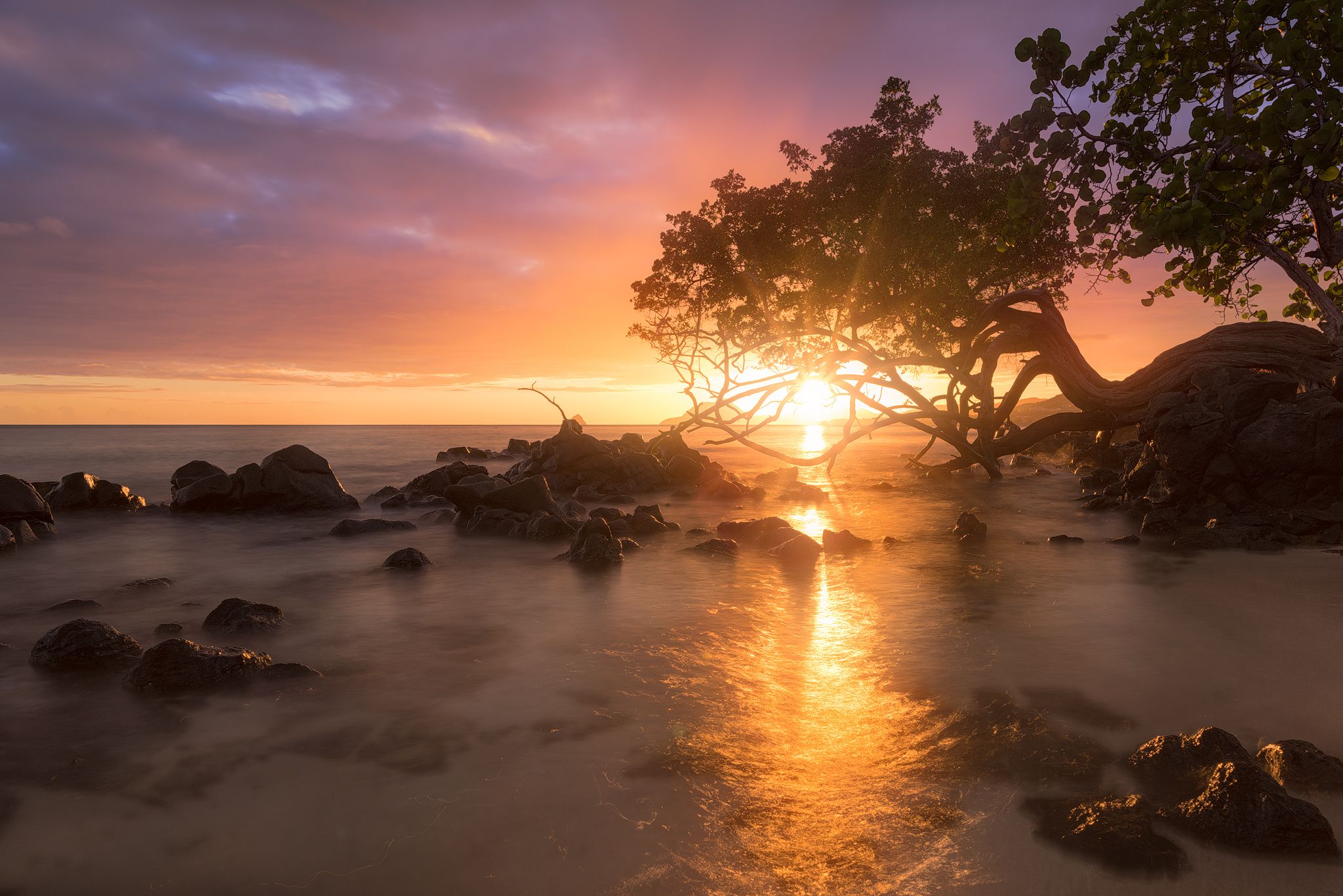 Anse Figuier, Martinique, Martinique