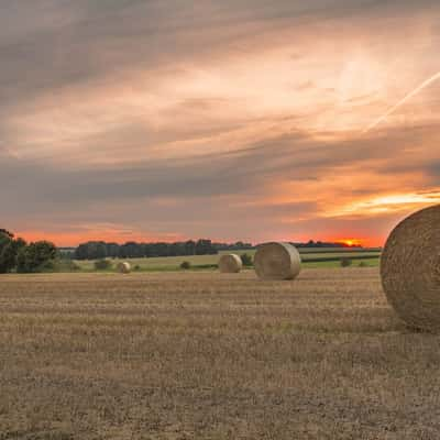 Between the towns of Bad Fallingbostel and Dorfmark, Germany