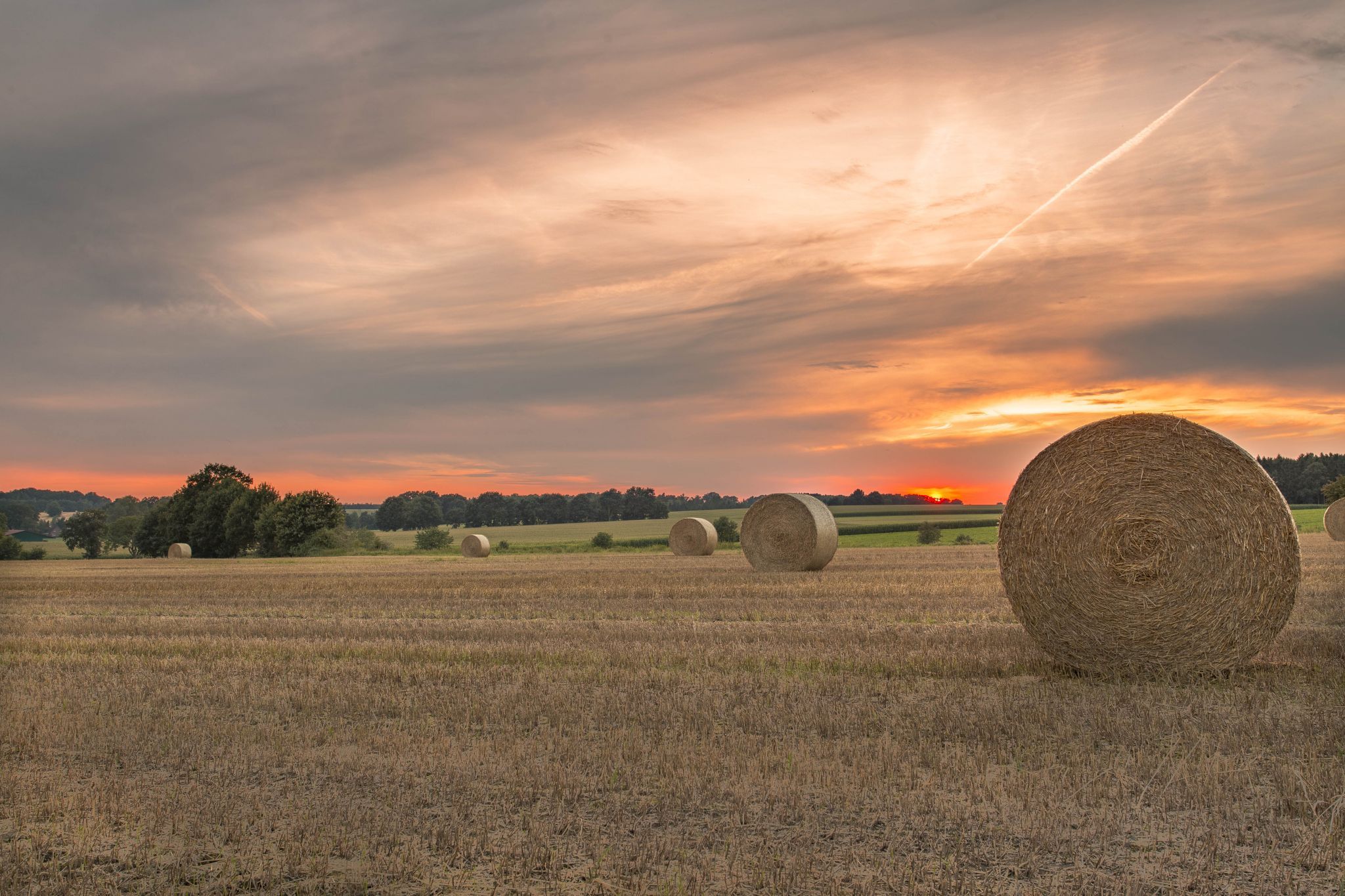 Between the towns of Bad Fallingbostel and Dorfmark, Germany