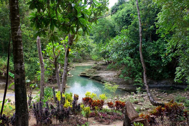 Candijay, Can umantad falls and rice terasses