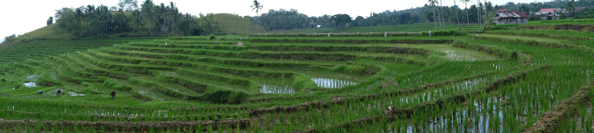 Candijay, Can umantad falls and rice terasses