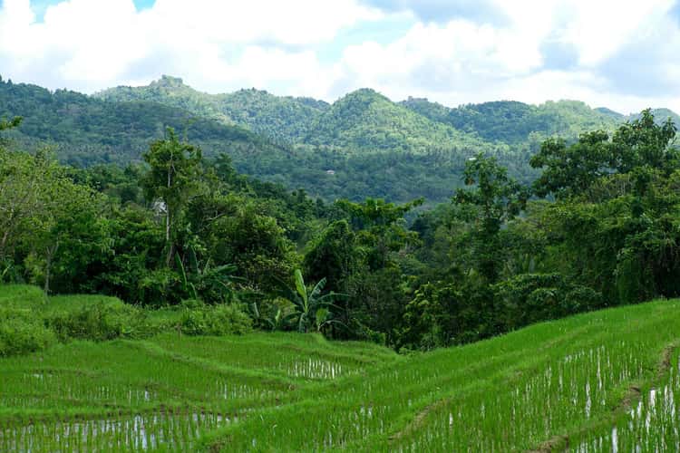 Candijay, Can umantad falls and rice terasses
