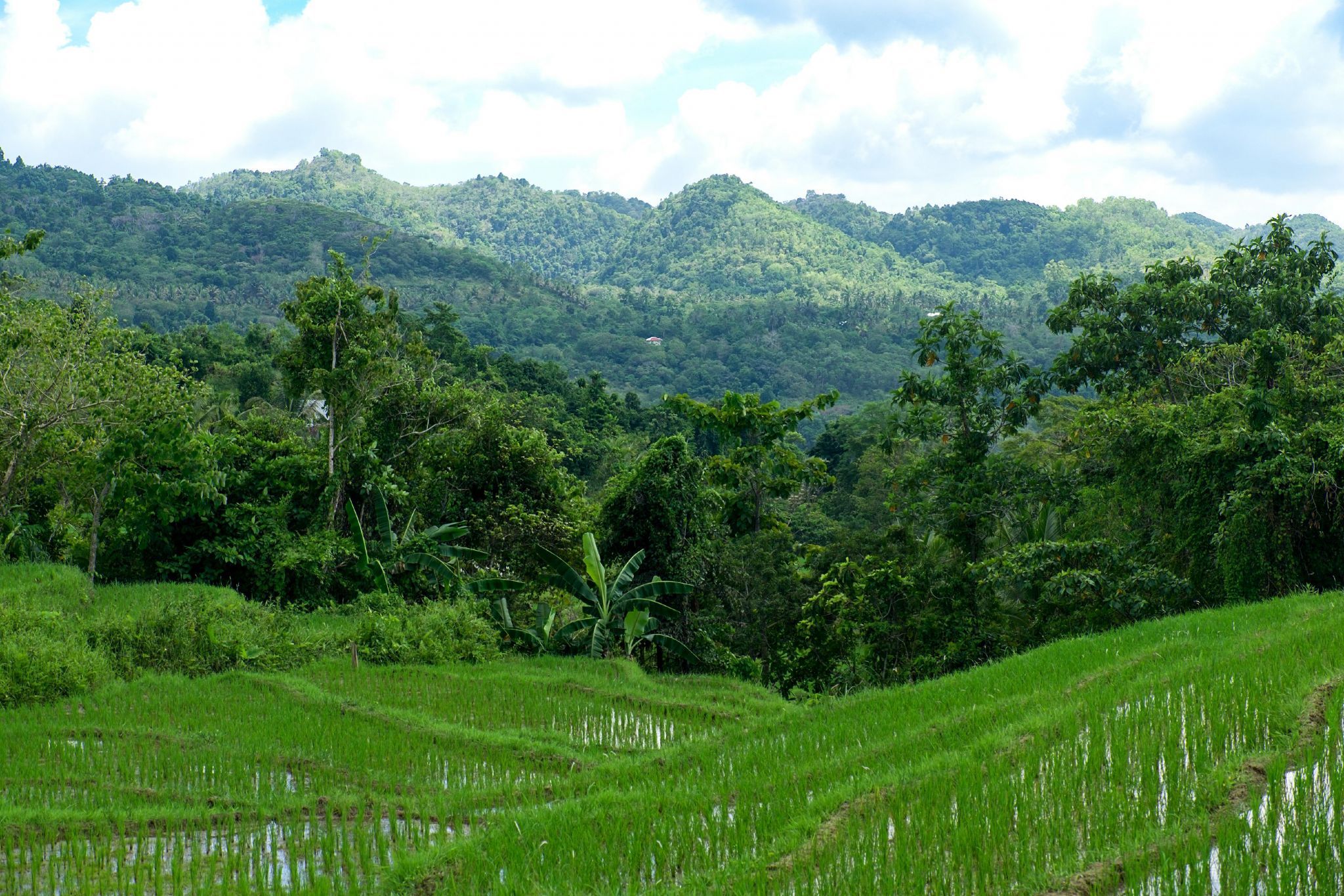 Candijay, Can umantad falls and rice terasses, Philippines