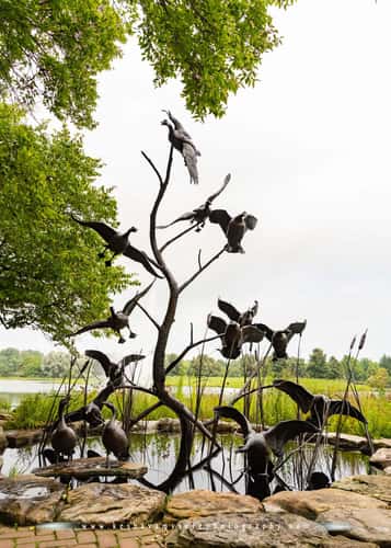 Chicago Botanic Garden, Glencoe, IL