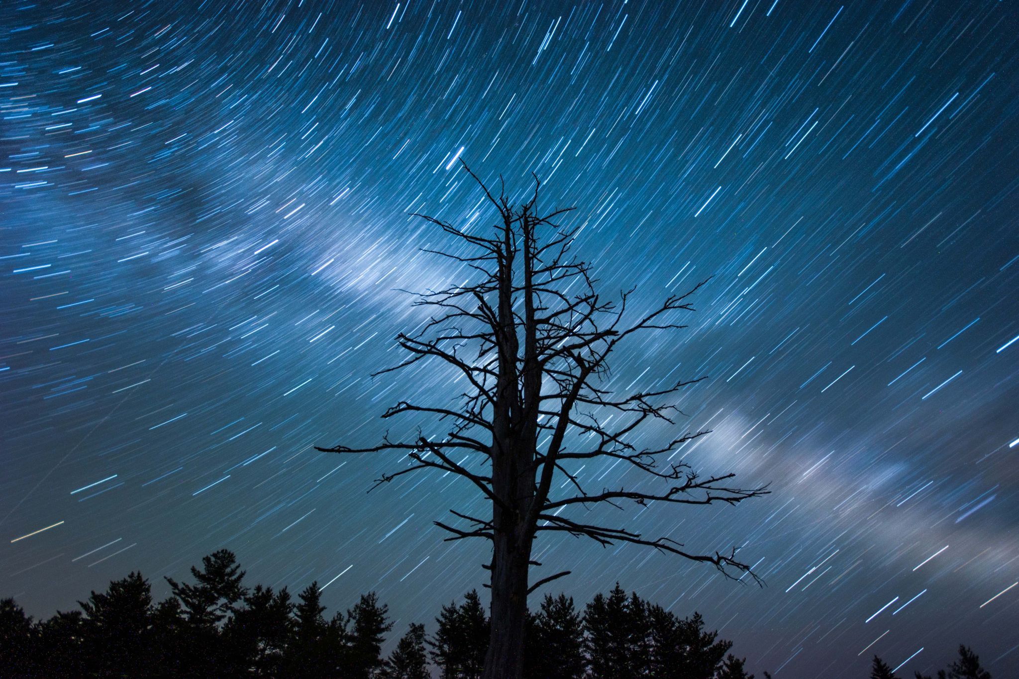 Dead Tree Night, USA