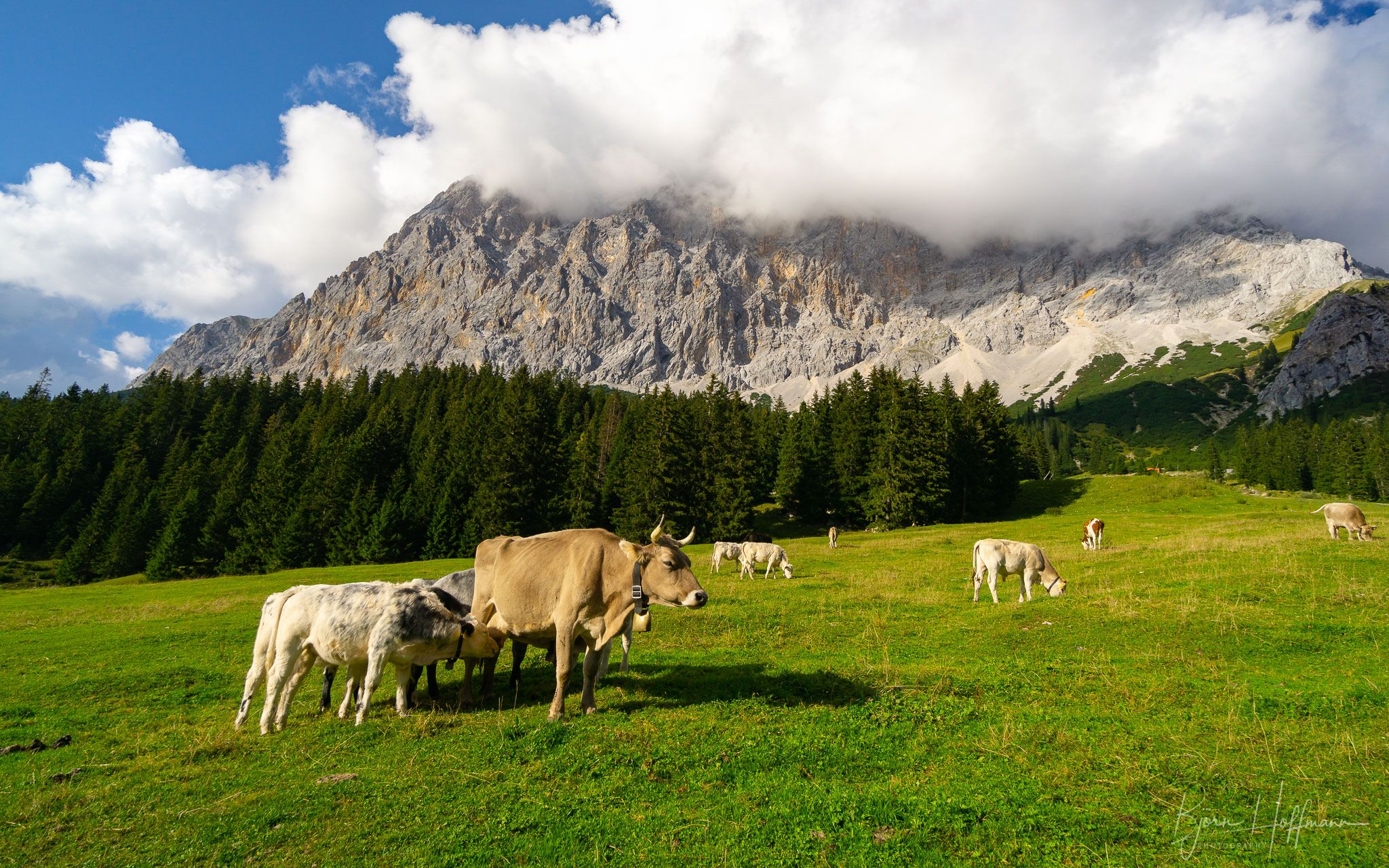 Ehrwalder Alm, Austria