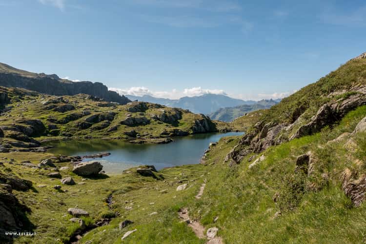 Fessissee