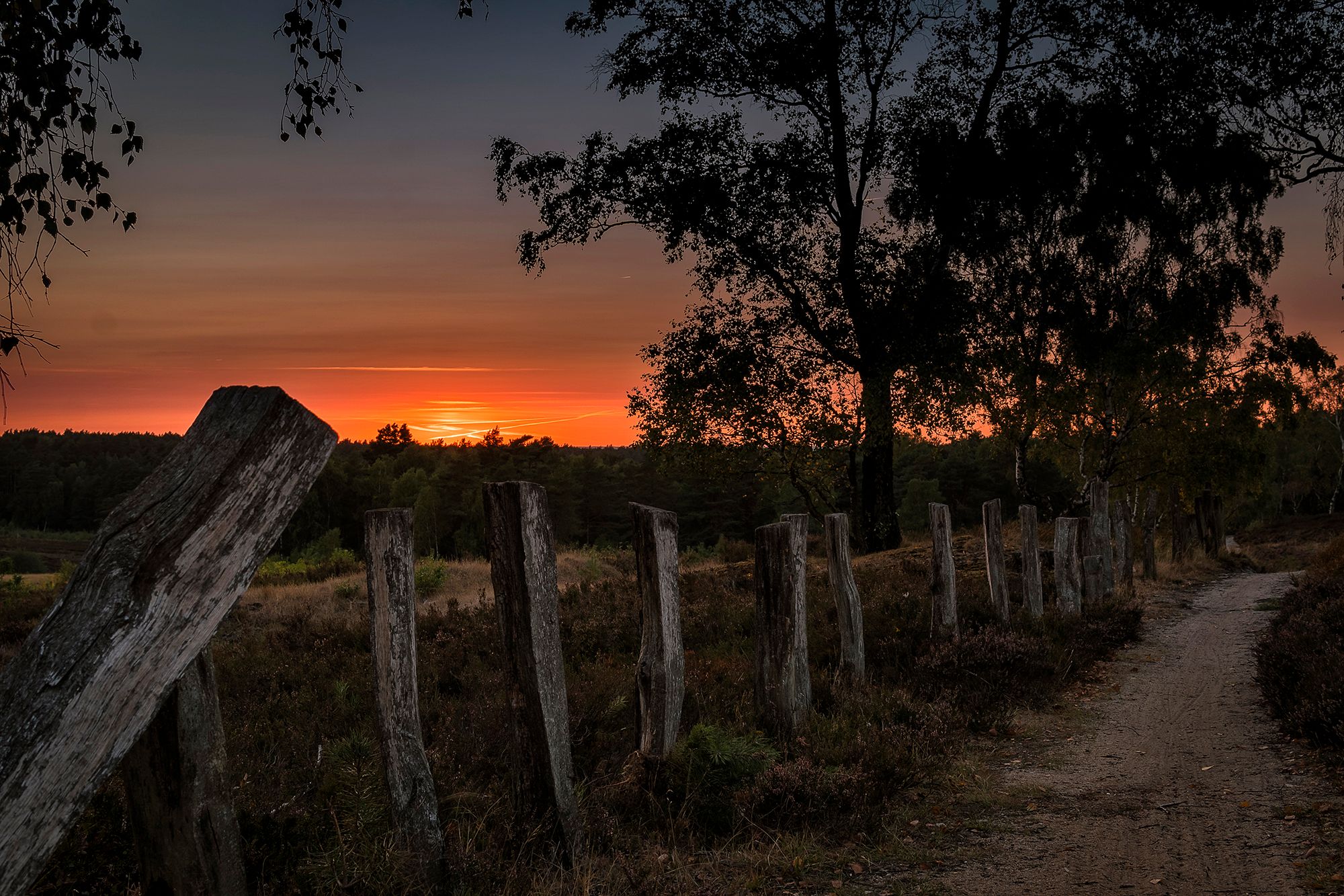 Fischbeker Heide, Germany